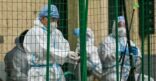 فيروس “الموت الأسود” يعود للصين.. كل ما تريد معرفته عن المرض الذي قتل 200 مليون سابقا