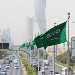 شاعر سعودي يقترح تعديلاً على النشيد الوطني ليواكب 2030