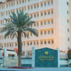 جامعة الملك عبدالعزيز تُعلن عن توفر 260 وظيفة أكاديمية بمسمى مدرس